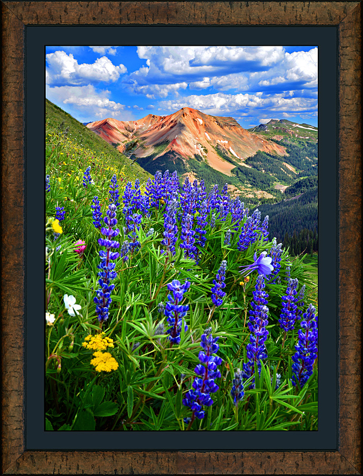 Framed Red Mountain Bouquet