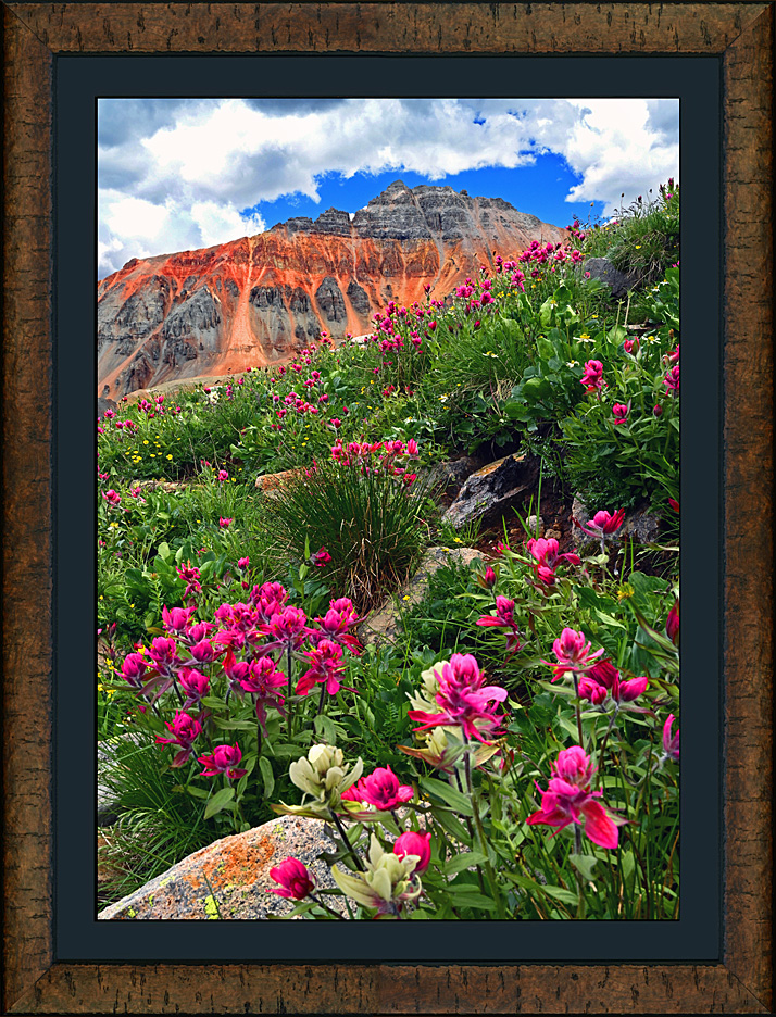 framed vermilion and paintbrush