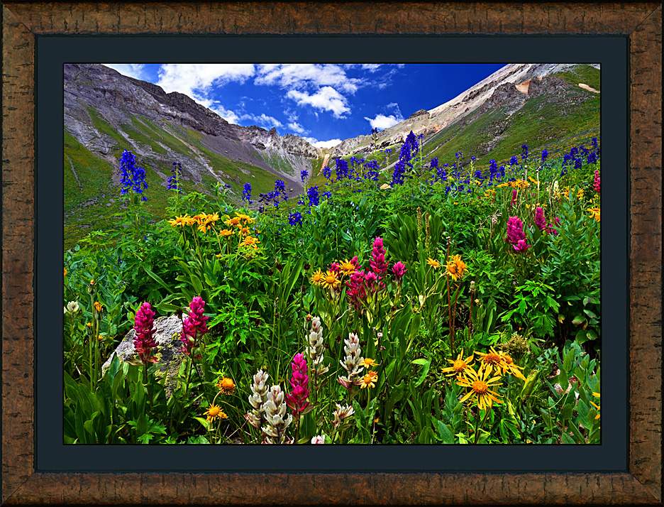 framed wildflower tapestry