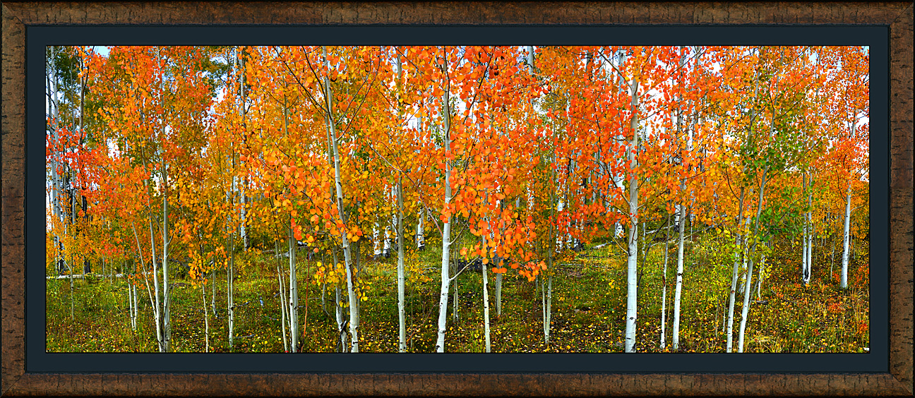 framed pan crimson grove