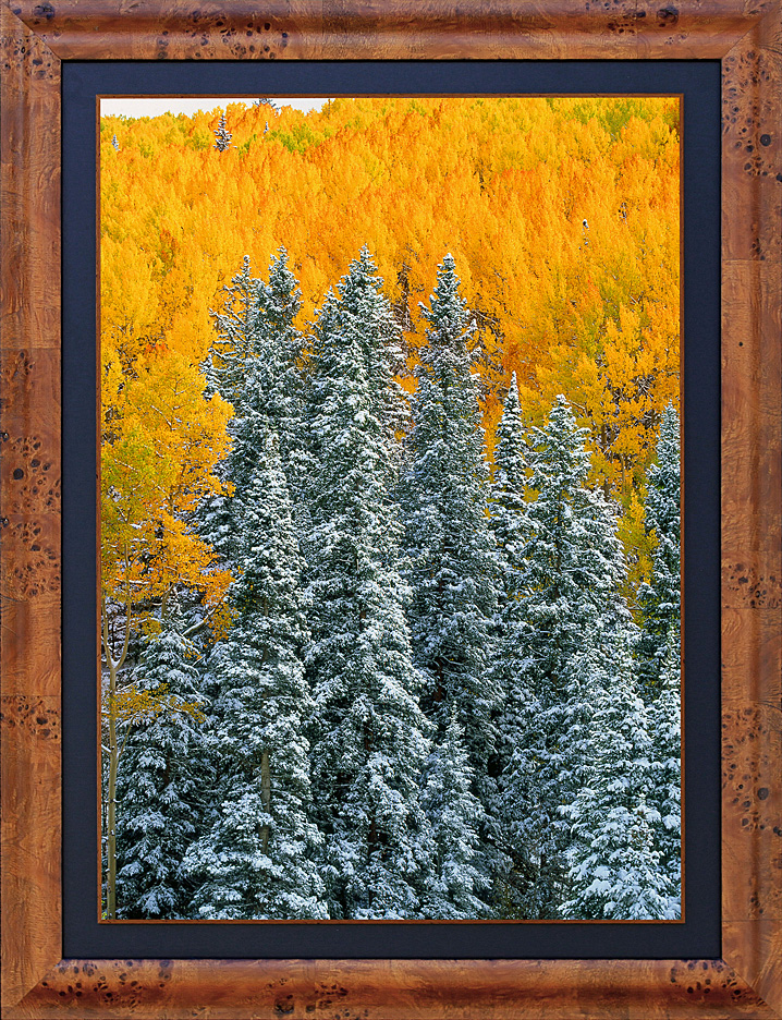 framed autumn contrasts LGB