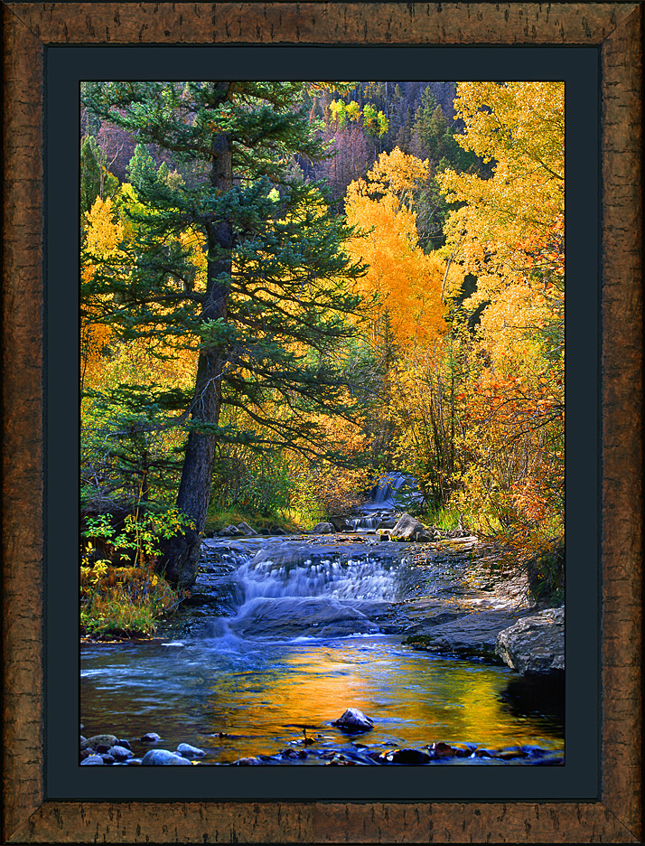 framed autumn iridescence - roma