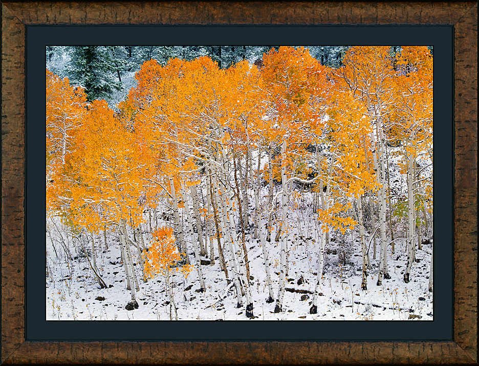 framed autumn's intrigue