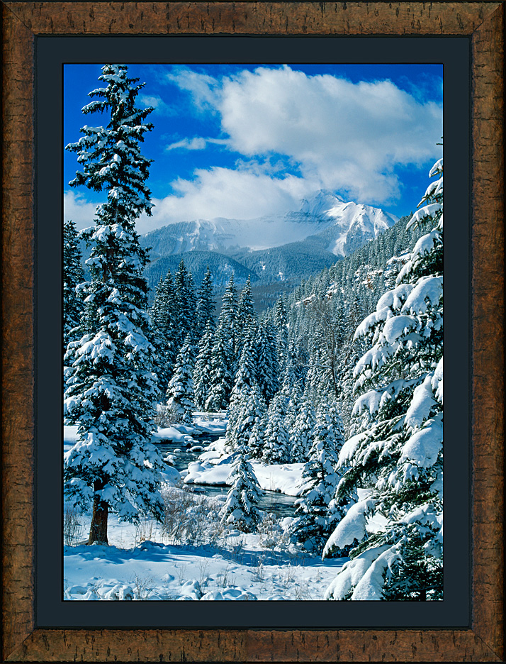 framed heavy snow at ilium