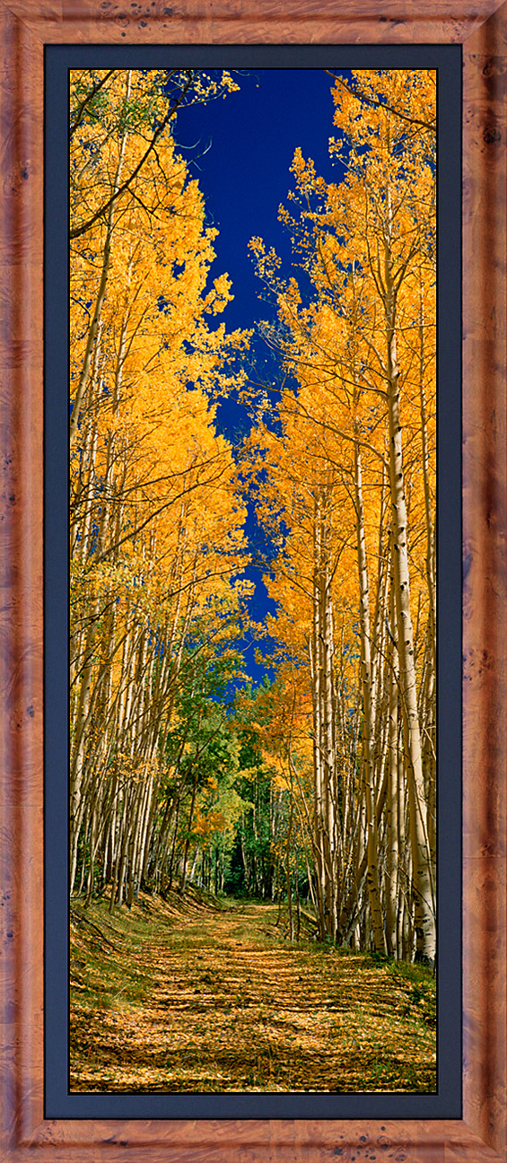 framed pan autumn road_LGB