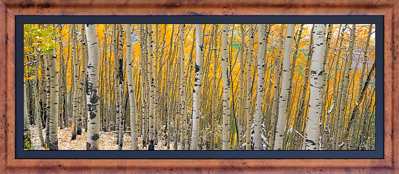 framed pan autumn snows - LGB