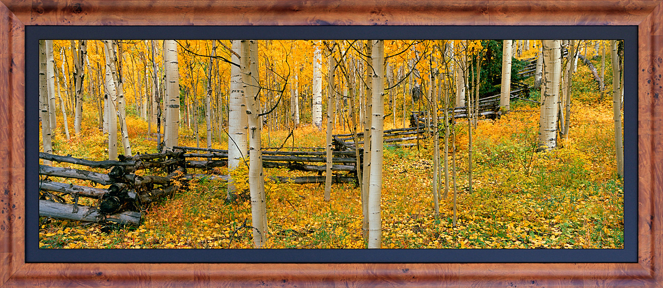 framed pan autumn woodlands - LGB