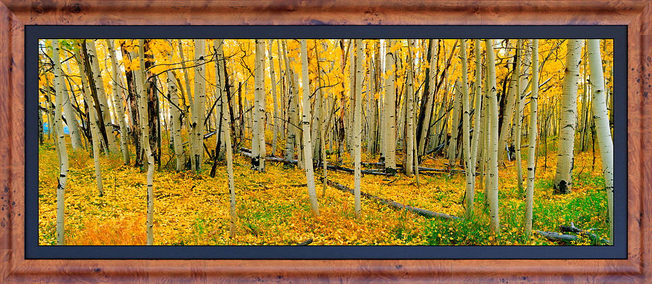 framed pan woodlands - LGB