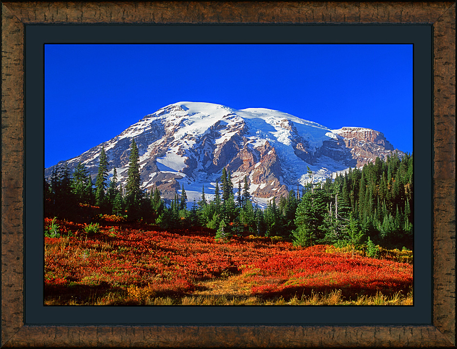 framed paradise autumn