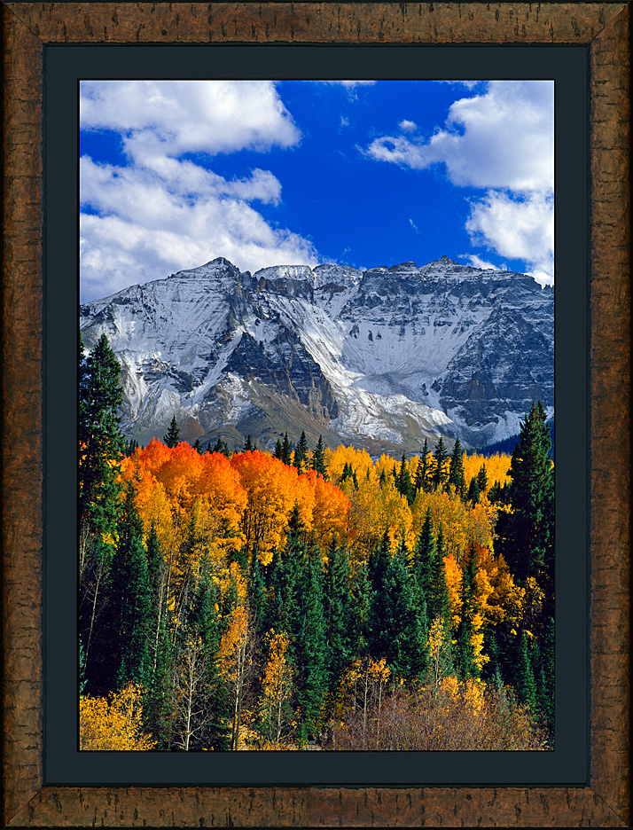 framed sheep mountain autumn