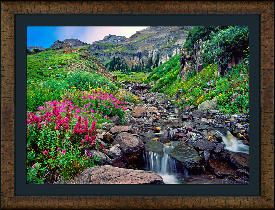 Framed Wildflower Basin