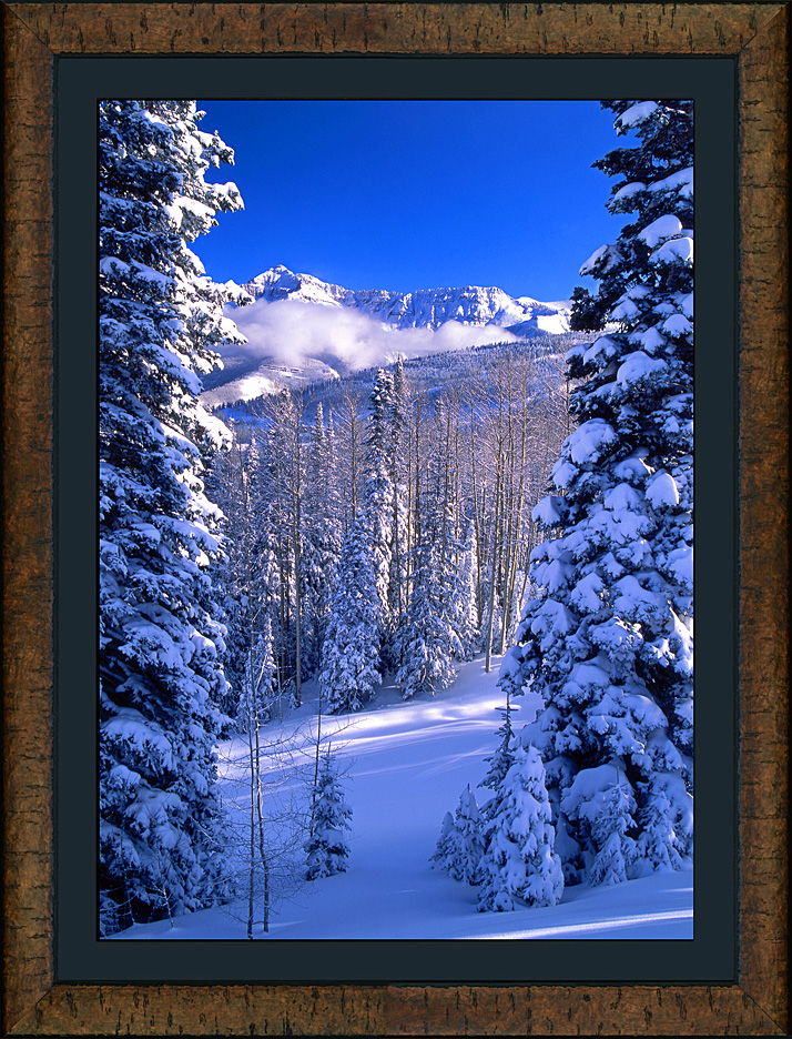 framed winterscape