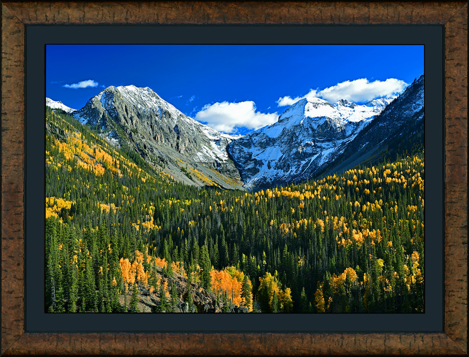 framed arrastra autumn