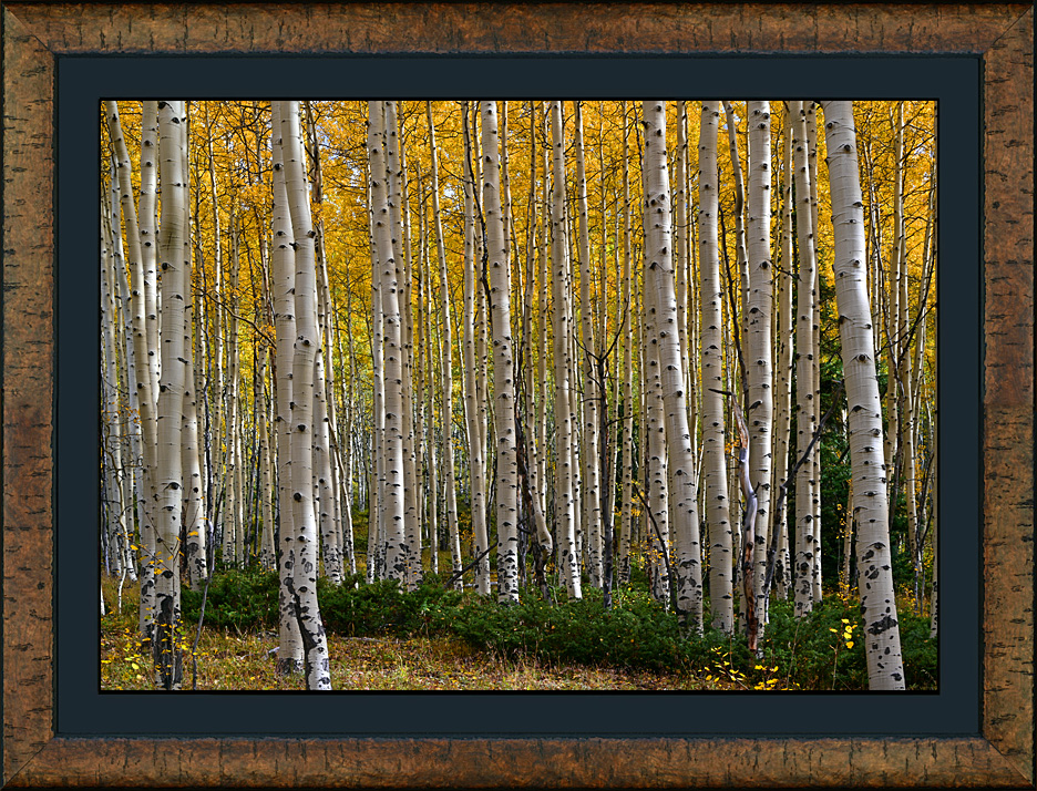 framed autumn's mystique