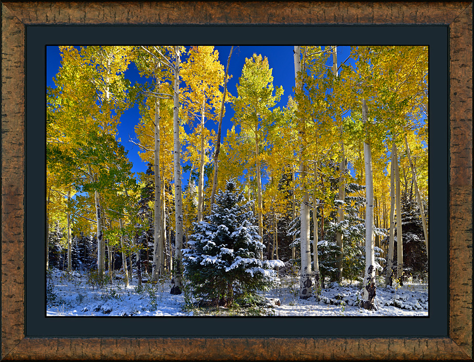 framed cimarron snow