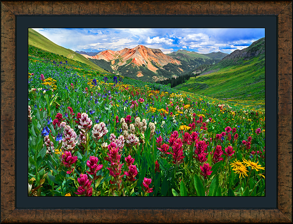 framed floral fantasy