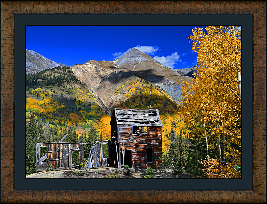 Framed Golden Days 2024
