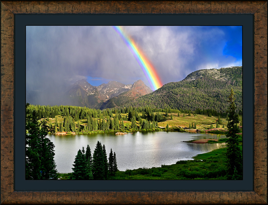framed grenadier rainbow