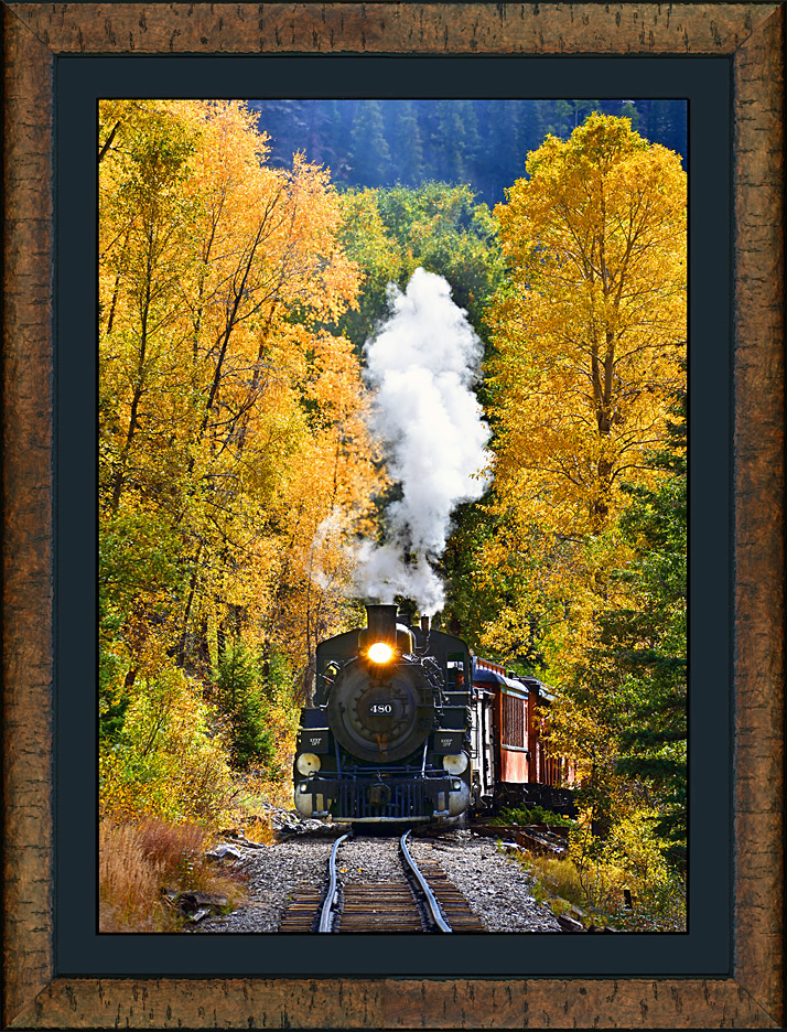 Framed pulling the calfs tail DandS