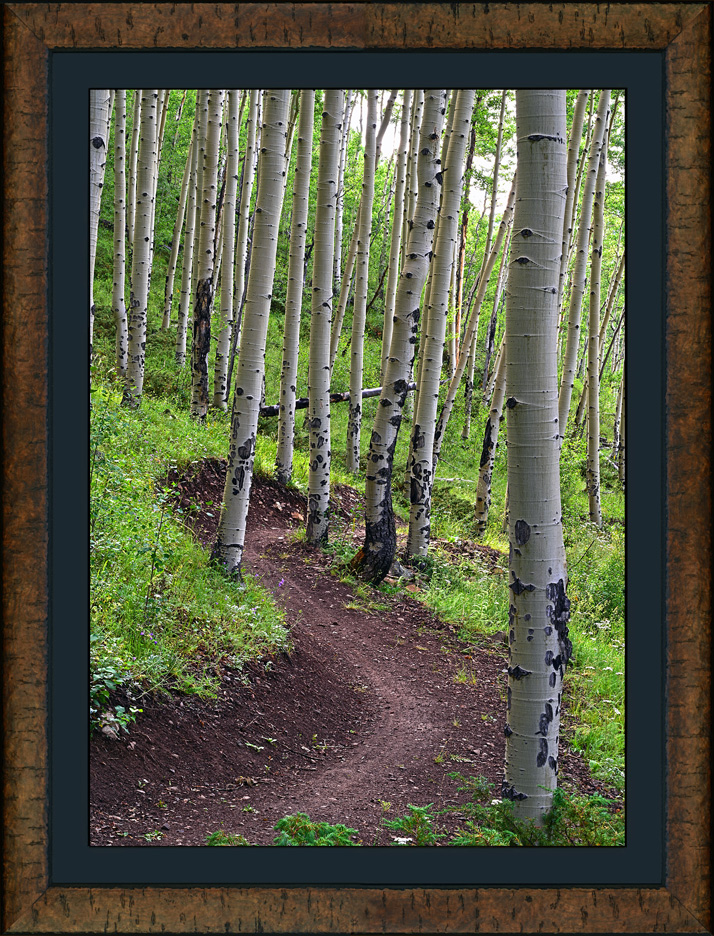 framed summer singletrack