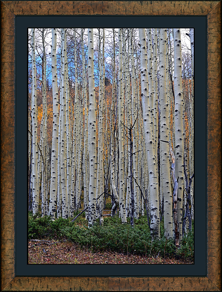 framed the seasons 3