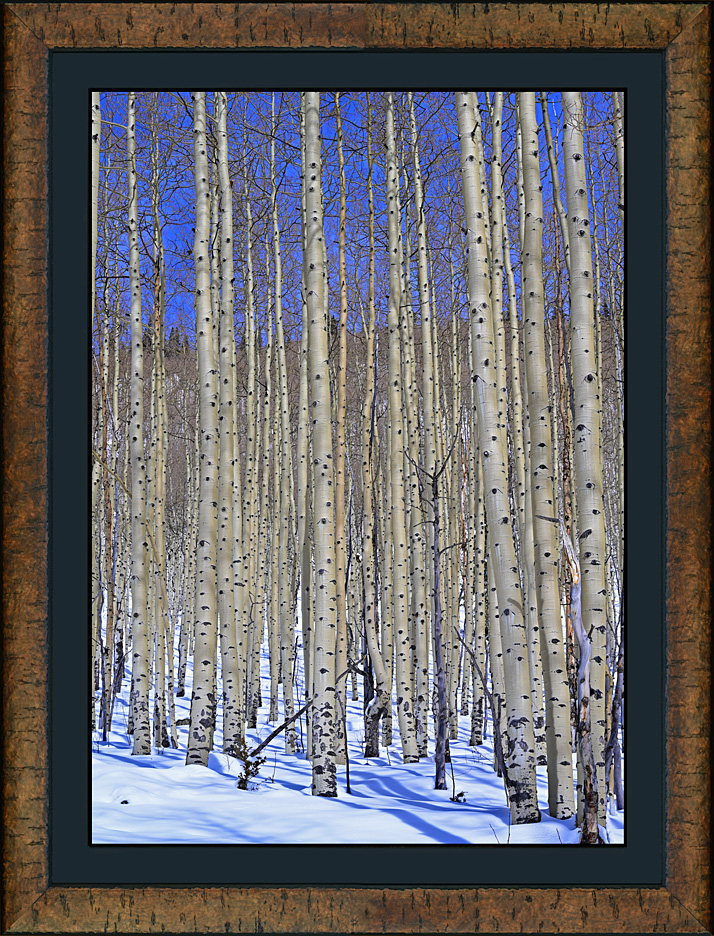 framed the seasons 4 - winter