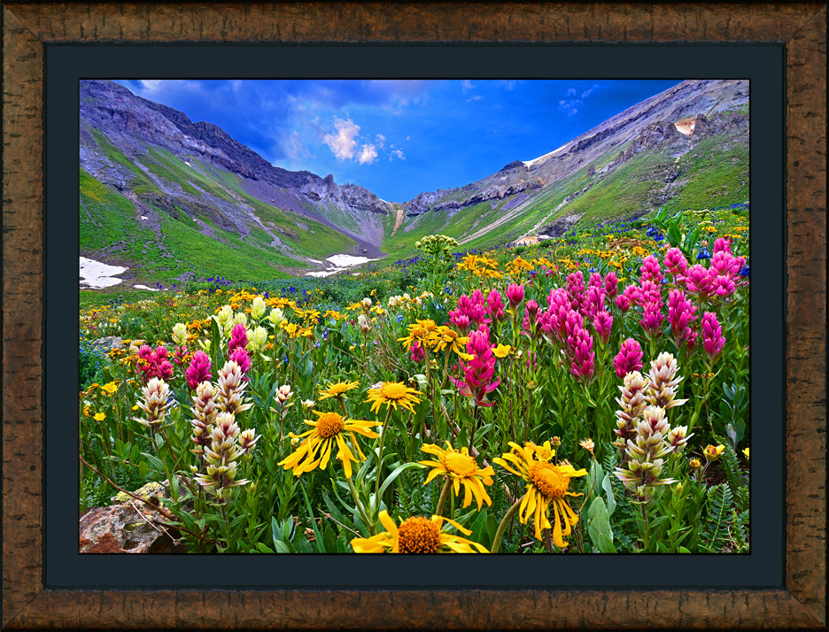 framed wildflower mosaic