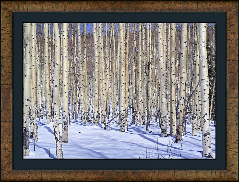 framed winter's mantle