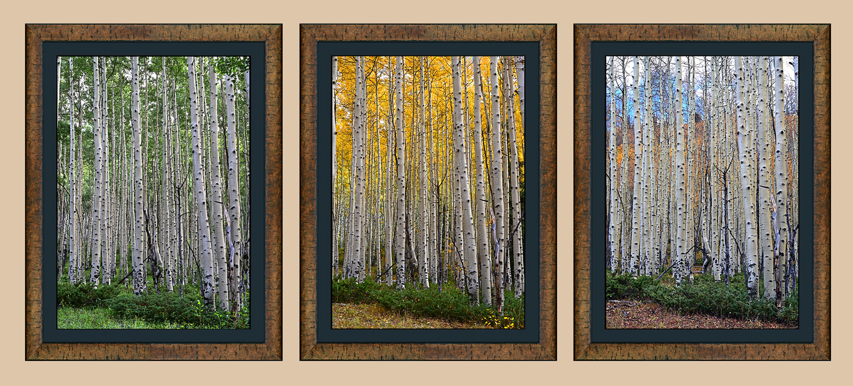 framed the seasons 1 - 3