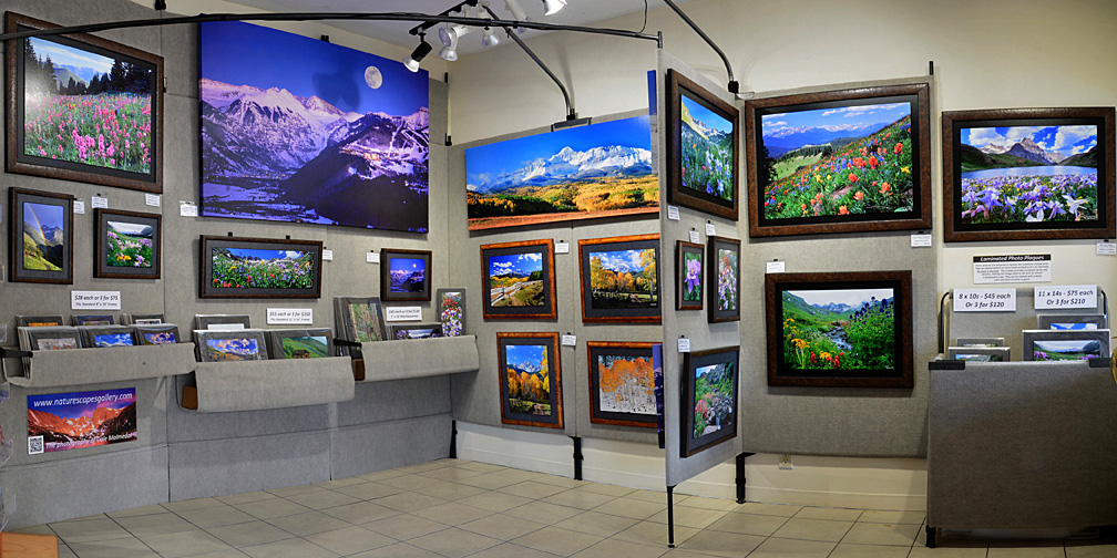 Silverton Gallery 3