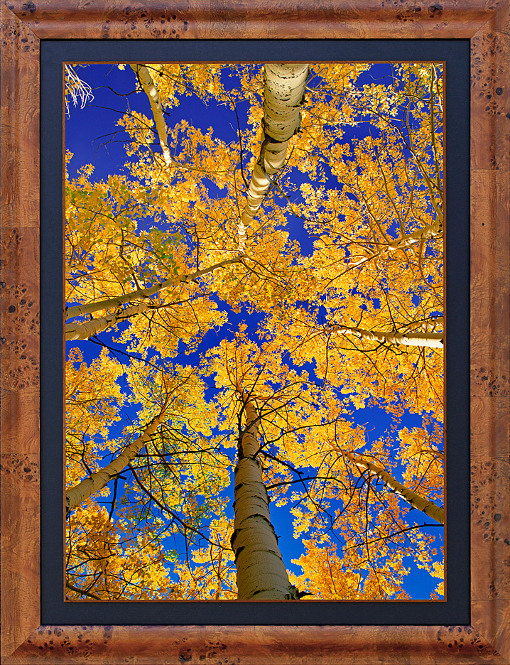 framed autumn spires - LGB