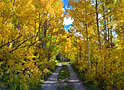 autumns path